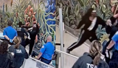 man arrested at Dallas love field