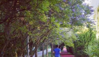 Dallas’ Katy Trail to debut new public art biennial in 2027