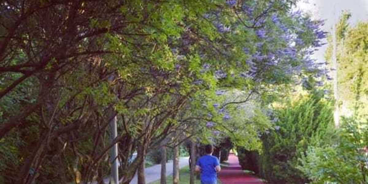 Dallas’ Katy Trail to debut new public art biennial in 2027