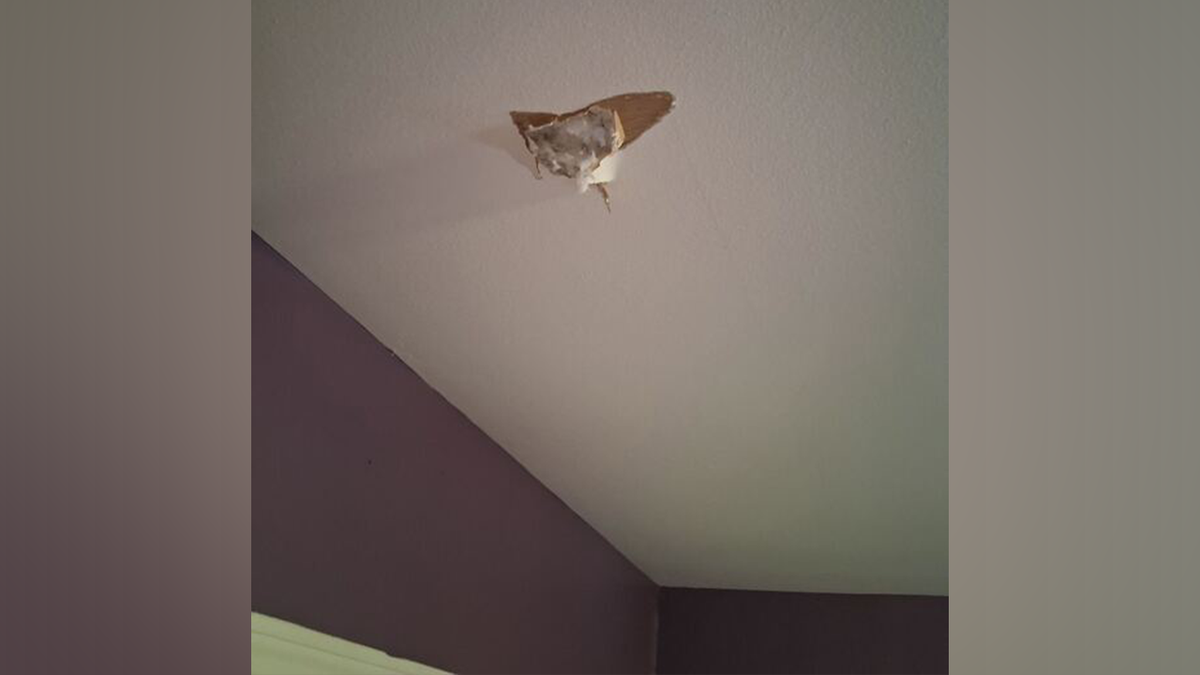 A large hole was seen in Sherrie James' ceiling.