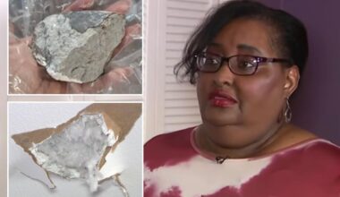 Houston woman Sherrie James claims suspected meteorite smashed into house after blast rattles residents