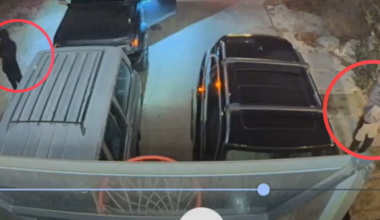 auto theft and burglary suspects described above and below