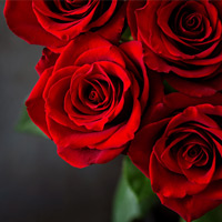 Jasmine Lachelle Kelley - October 23, 2003 - March 15, 2026