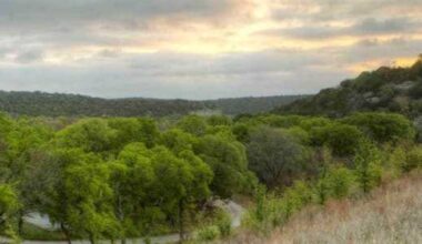 Texas debuts first new state park in 25 years