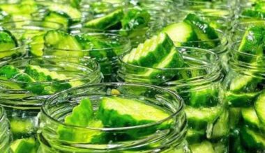 Pickle party leads week's 6 best food events in Fort Worth