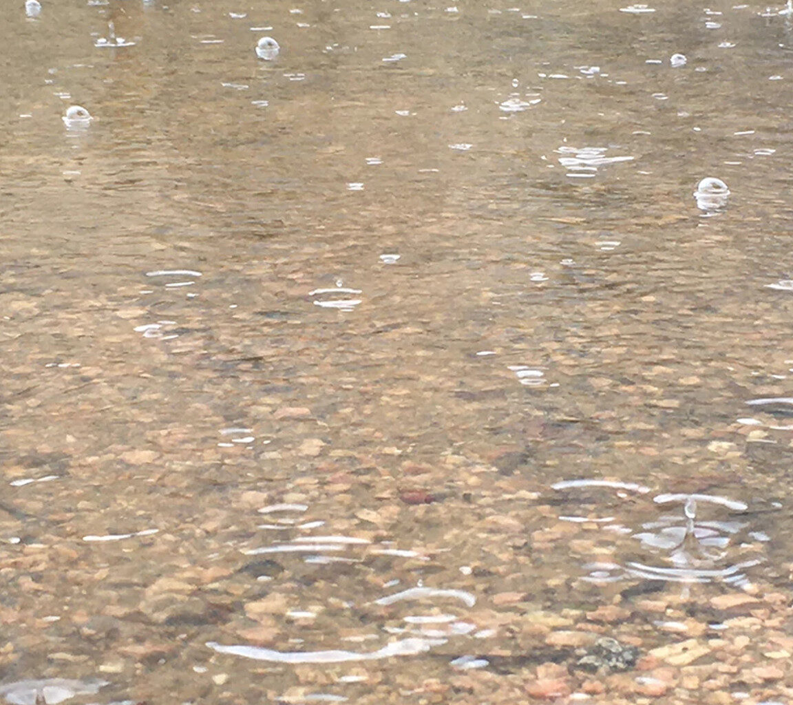 Flood Safety Concerns Prompt Ban of Use on Area Waterways