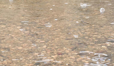 Flood Safety Concerns Prompt Ban of Use on Area Waterways