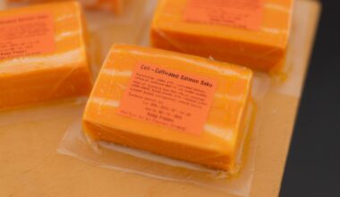 Texas Was on the Cutting Edge of Lab-Grown Meat, Until the State Banned It • The Austin Chronicle