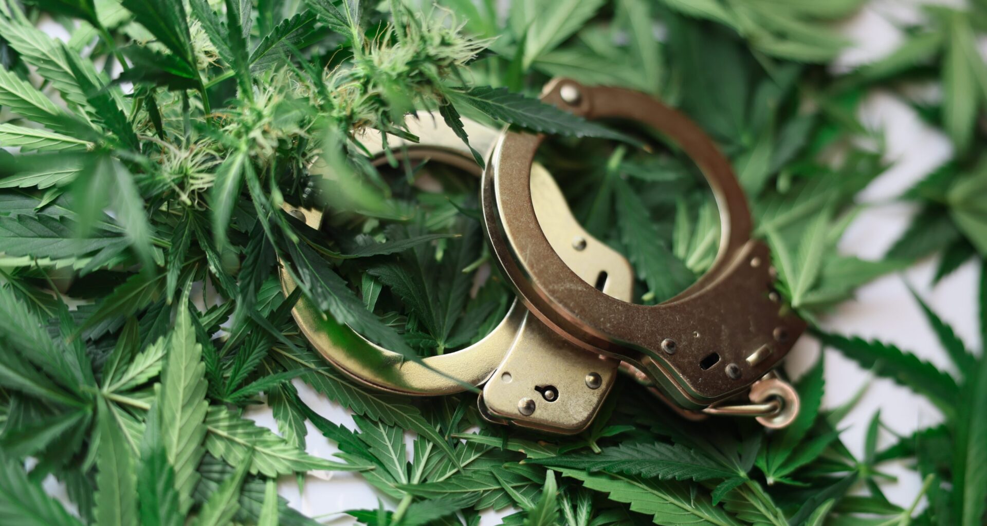 Substantial Rule Changes Slated to Rock the Hemp Industry • The Austin Chronicle