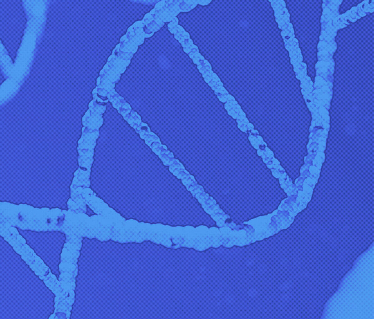 New World Screwworms Approach Texas-Mexico Border