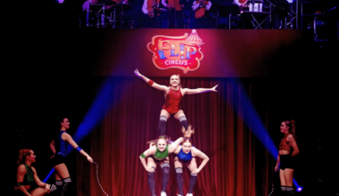 Top 10 Things To Do This Weekend In Plano, Frisco And Beyond - Local Profile