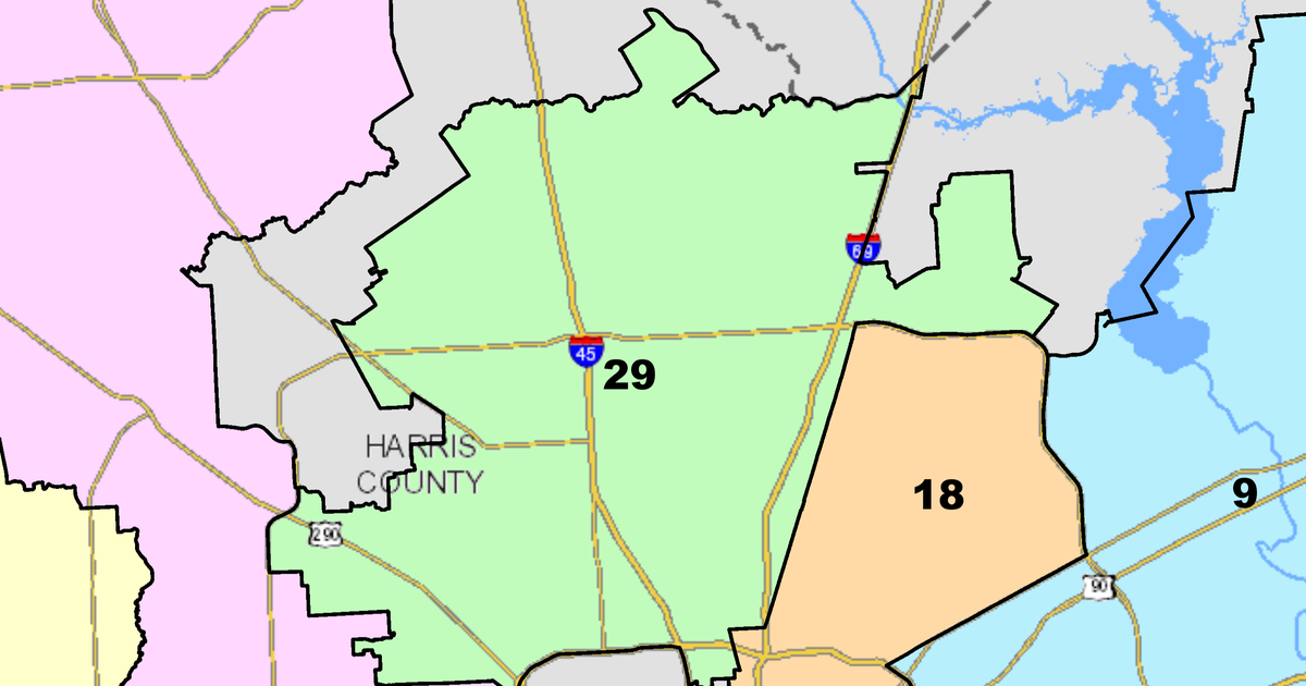 Sylvia Garcia projected to win Democratic primary for U.S. House in Texas' District 29