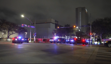 Pedestrian dead after being hit by vehicle on West Alabama Street