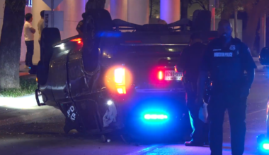 Houston police officer, his K-9 involved in crash downtown