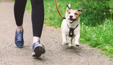 Dallas County Launches Physical Fitness Campaign