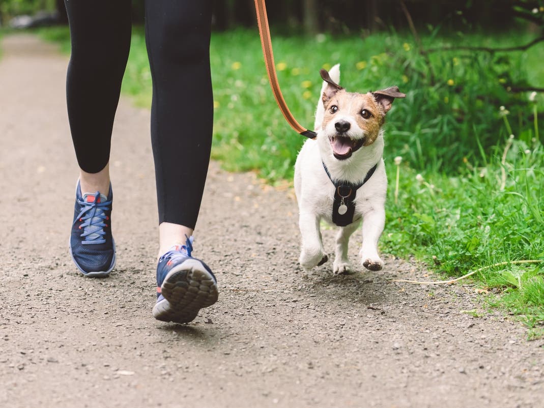 Dallas County Launches Physical Fitness Campaign