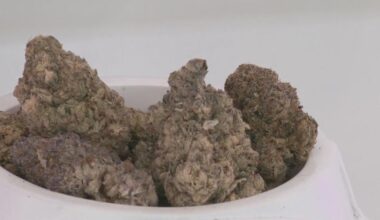 Texas ban on smokable hemp forces Dallas shops to clear inventory