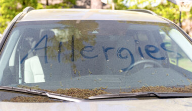 Car covered with tree pollen. The word allergies is written on the windshield.
