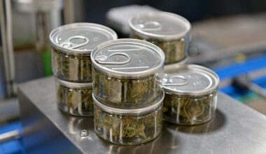 Texas to ban smokable cannabis products starting March 31