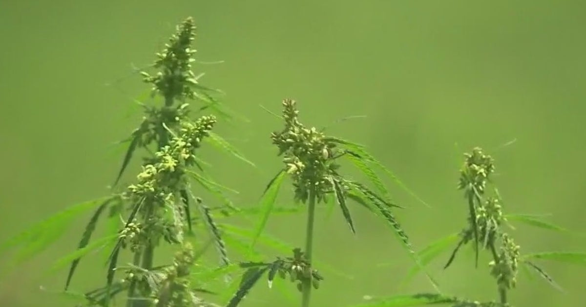 New rules, regulations for THC in Texas take effect March 31