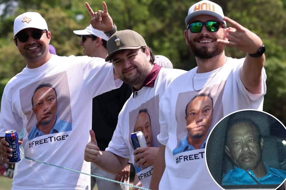 Tiger Woods fans wear shirts with mugshot during PGA Tour's Houston Open