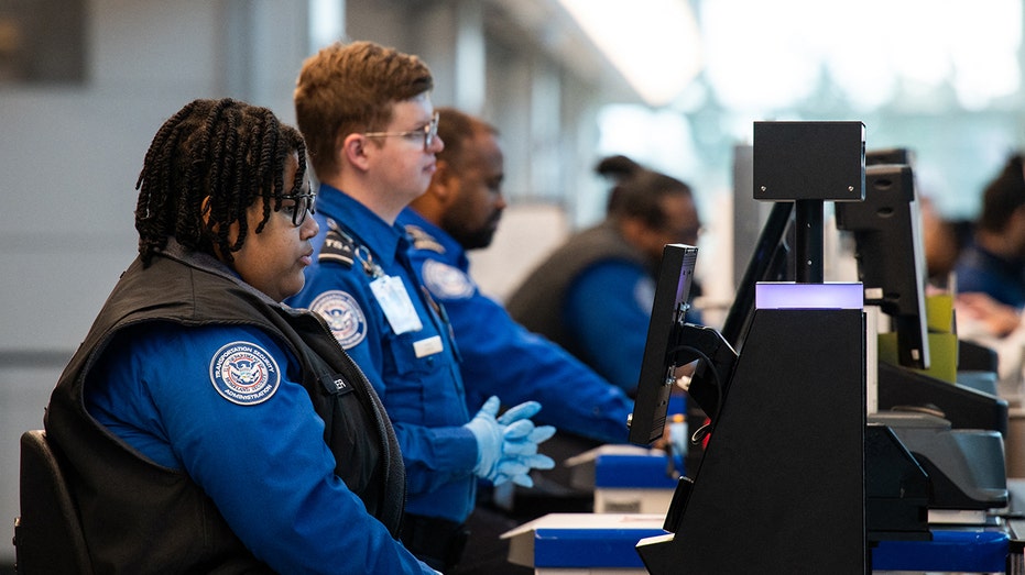 TSA Agents partial govt shutdown