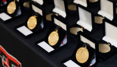 Several award medallions sit on a table.