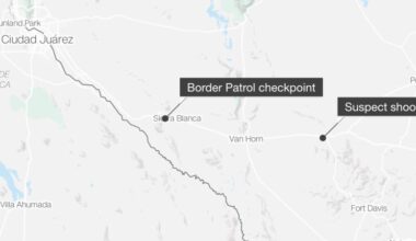 Driver killed after fleeing Texas Border Patrol checkpoint and shooting at officers