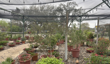 Botanical gardens offers a wild break from the beach