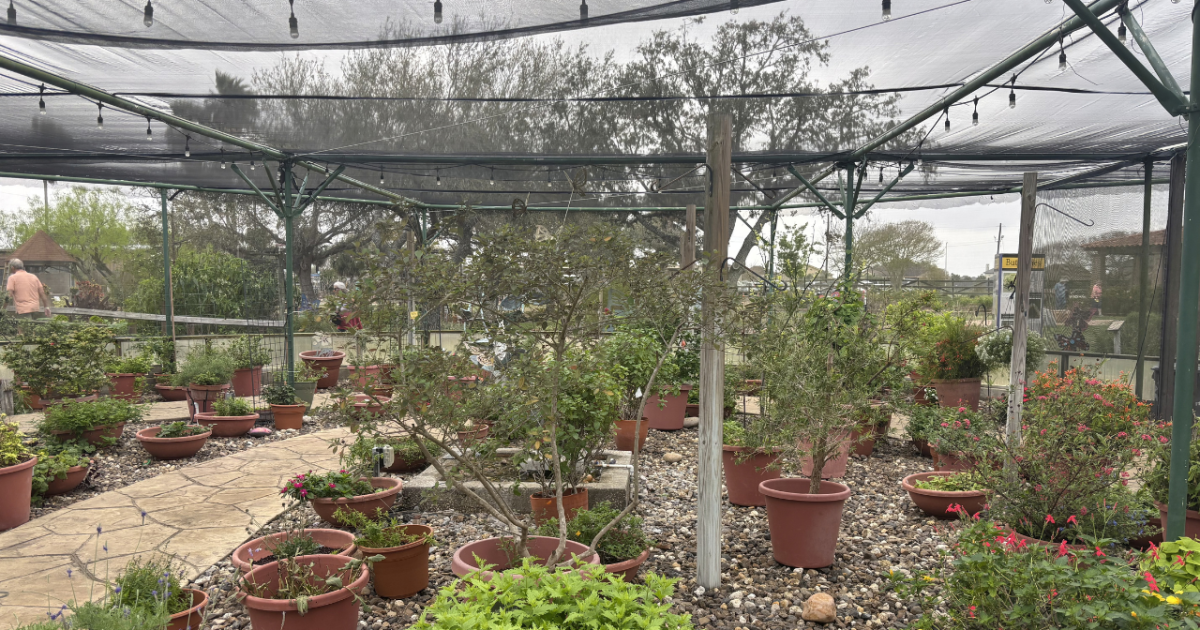 Botanical gardens offers a wild break from the beach