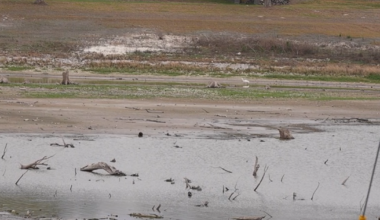 Plunging lake level leads to warning from city manager