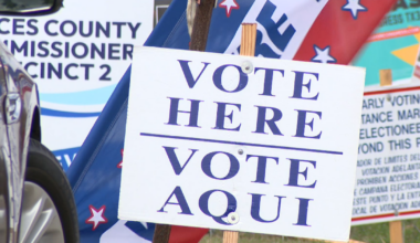 Some primary races headed for a runoff as the November ballot takes shape