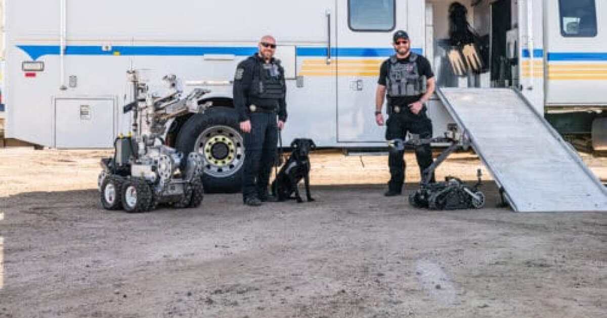 New K9 with the El Paso County Sheriff's Office trained for explosive detection