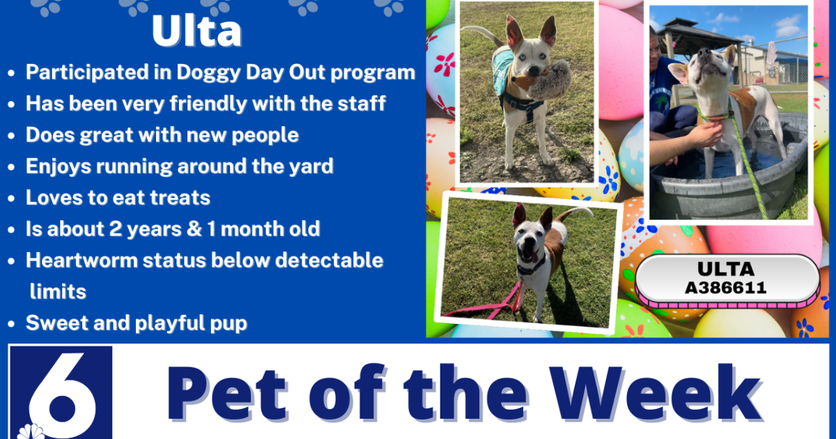 Pet of the Week: Ulta