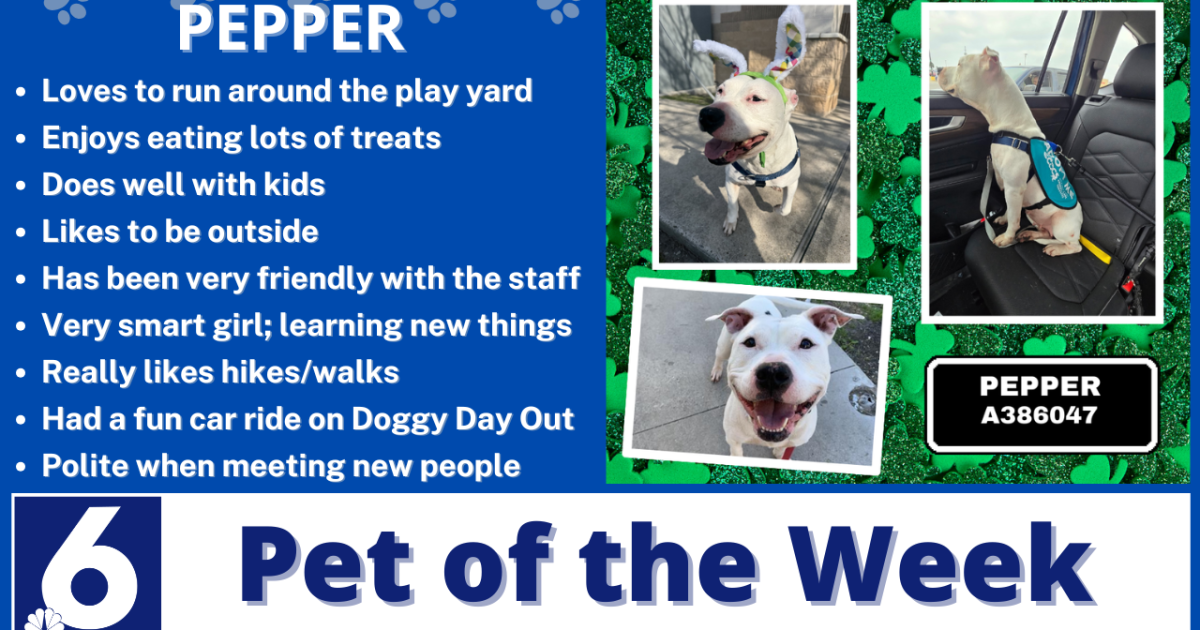 Pet of the Week: Pepper