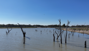 Corpus Christi secures groundwater permit, avoids curtailment from Lake Texana