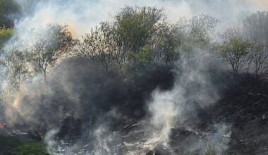 Kids playing with fireworks may have started 28-acre Sinton brush fire