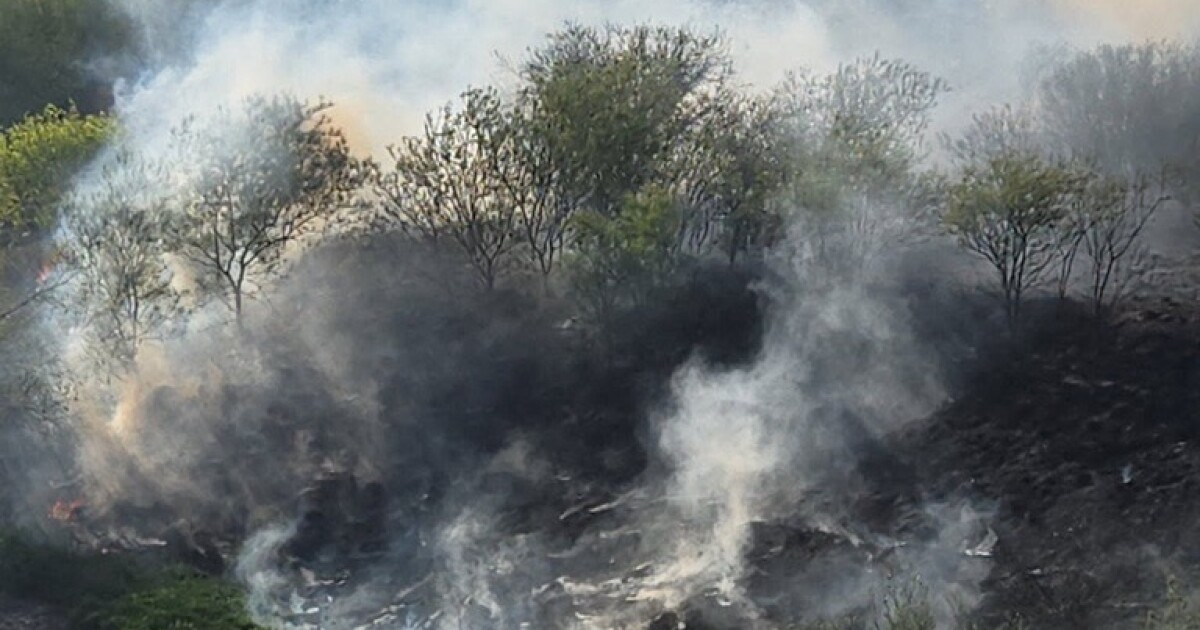 Kids playing with fireworks may have started 28-acre Sinton brush fire