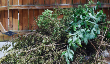 City of Rockport Announces Spring Yard Waste Pickup Program Beginning April 2026