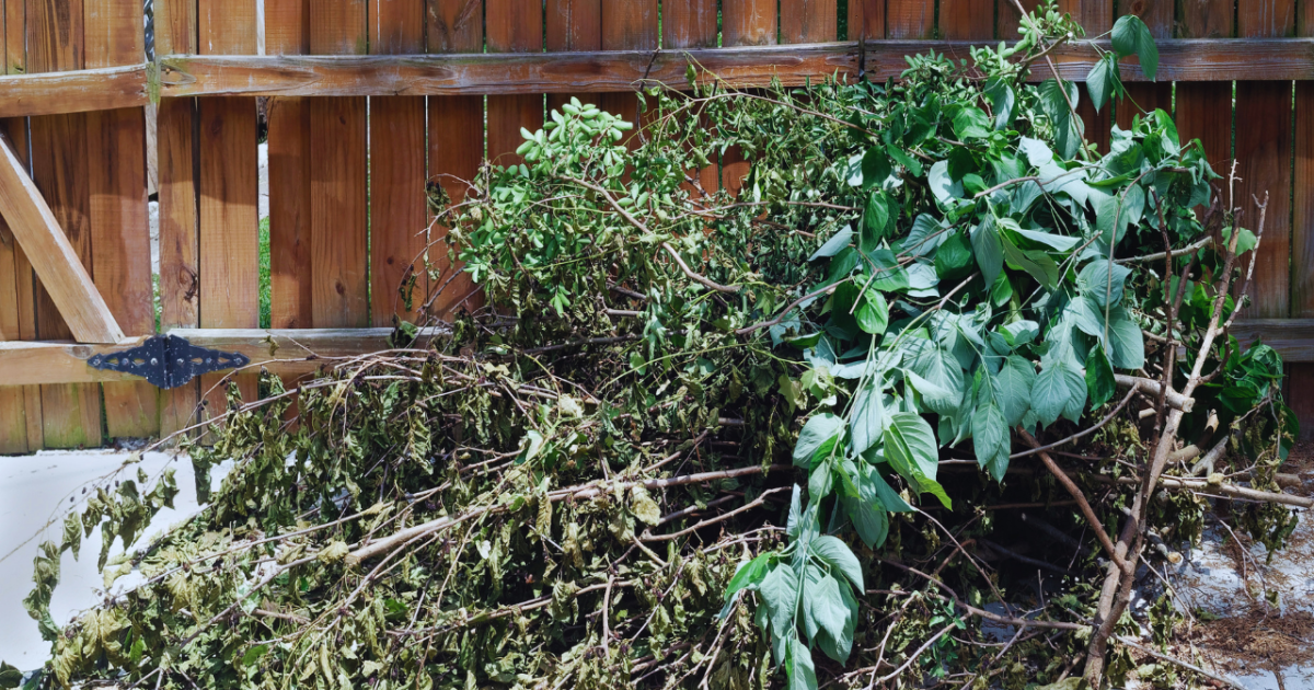 City of Rockport Announces Spring Yard Waste Pickup Program Beginning April 2026