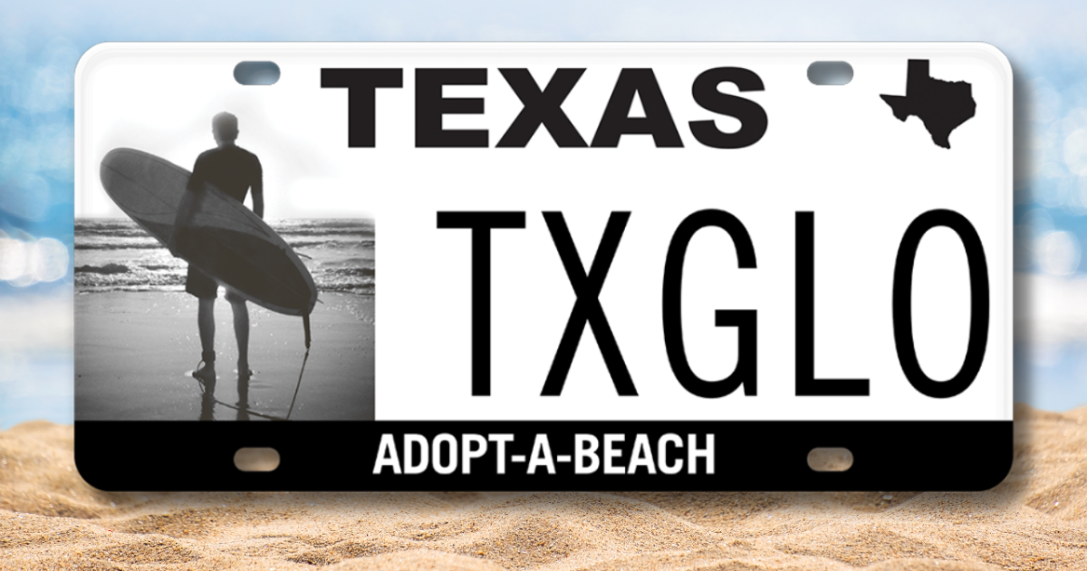 Adopt-A-Beach specialty license plate to benefit conservation efforts