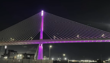 Harbor Bridge lights up purple to honor Month of the Military Child
