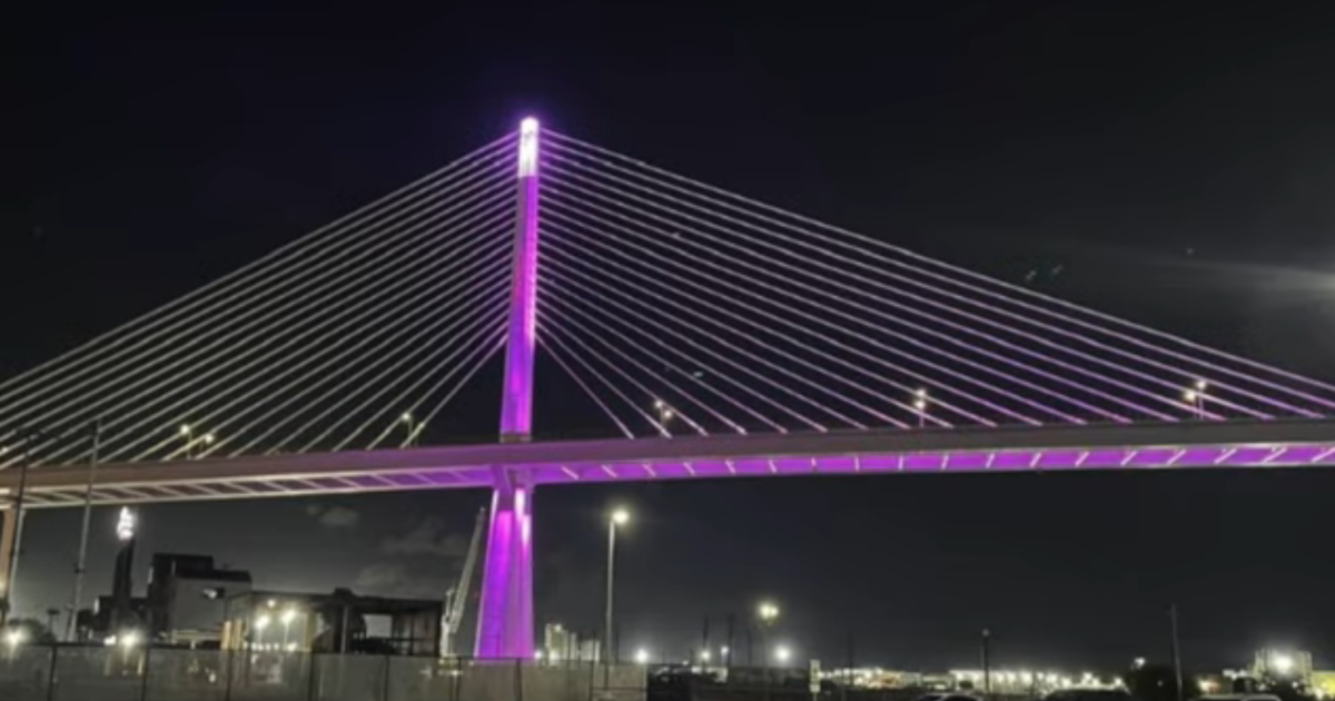 Harbor Bridge lights up purple to honor Month of the Military Child