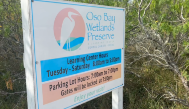 Oso Bay Wetlands Learning Center stays open with $154,246 grant