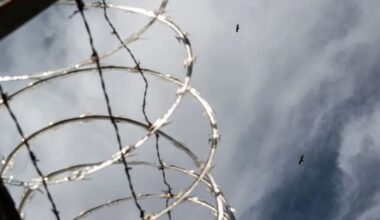 Texas man sentenced to 14 years for child sex abuse material