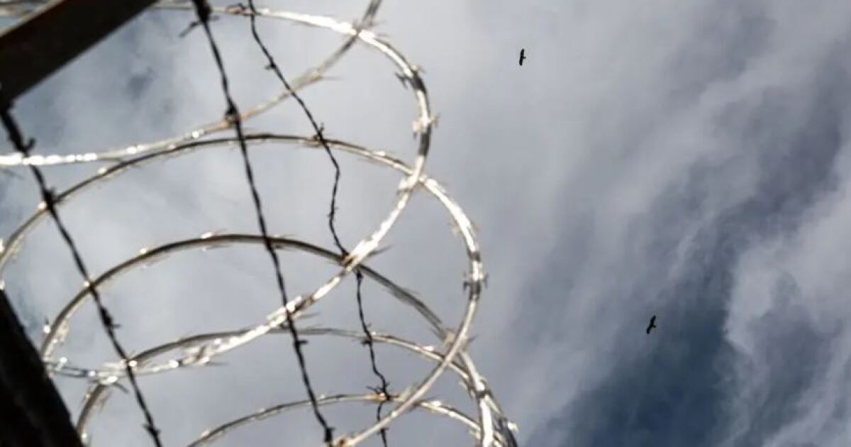 Texas man sentenced to 14 years for child sex abuse material