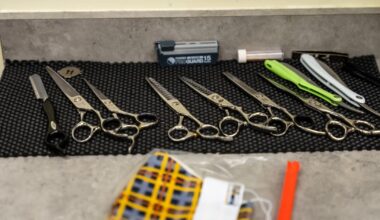 Texas will require proof of legal immigration status to get professional licenses