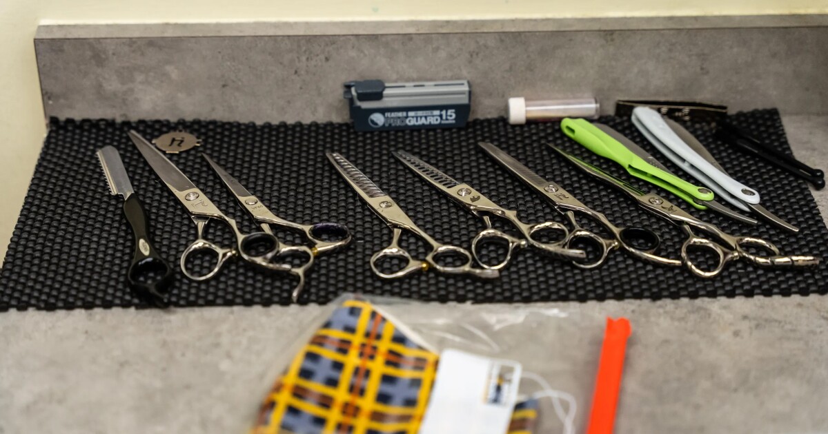 Texas will require proof of legal immigration status to get professional licenses