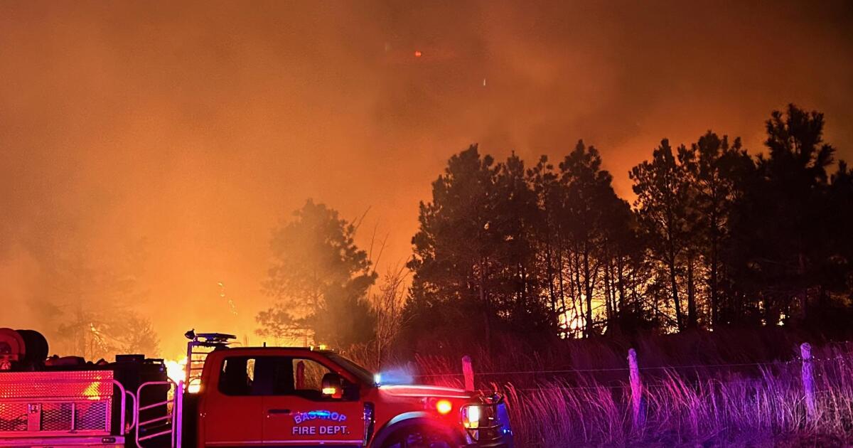 46-acre wildfire in Bastrop State Park now 75% contained