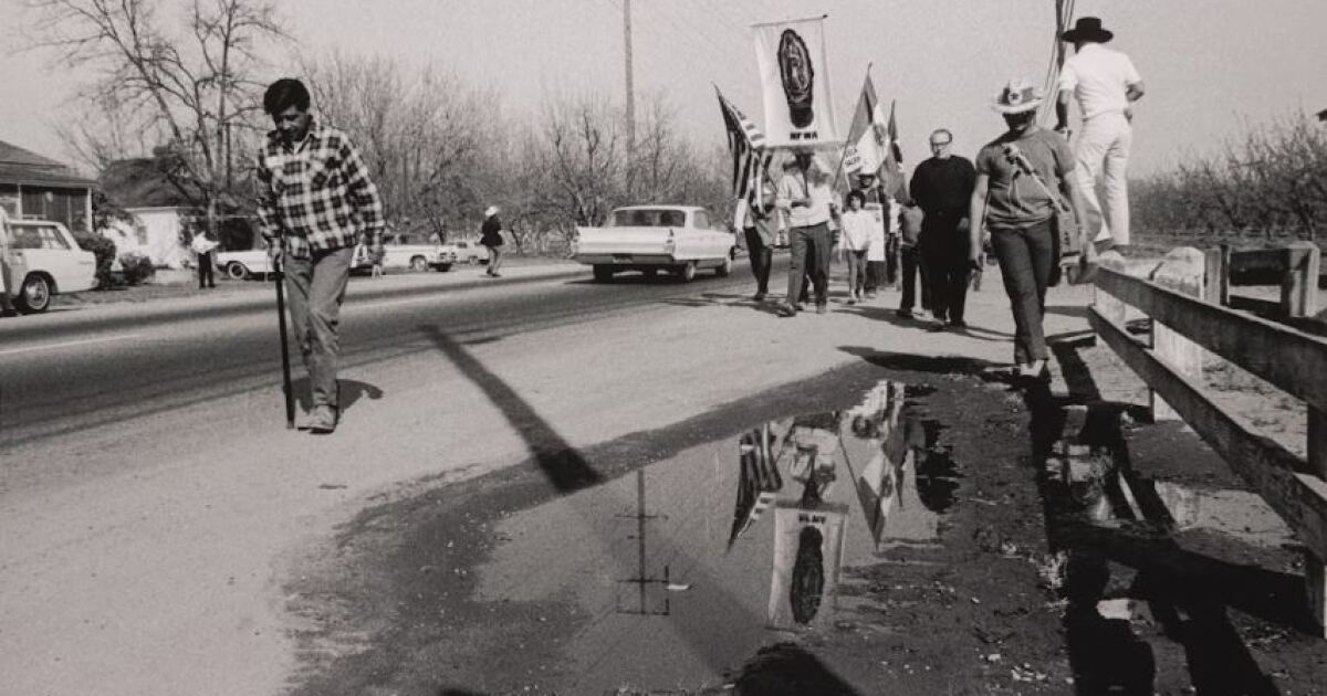 San Antonio’s César E. Chávez Legacy & Educational Foundation dissolves after allegations of sexual abuse